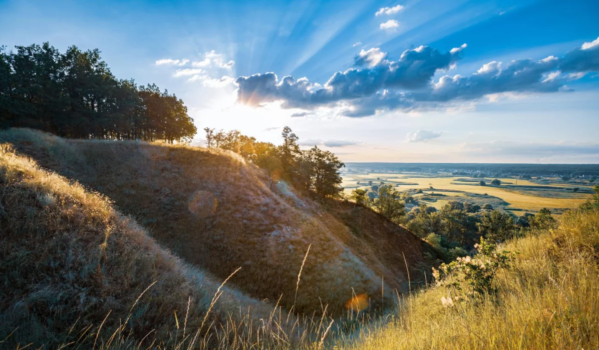 Ciekawe kto może budować nowocześniej?
