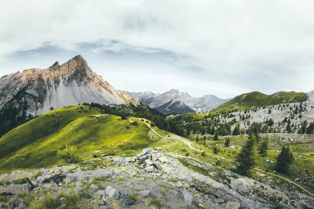 Czy zdrowieć może każdy?