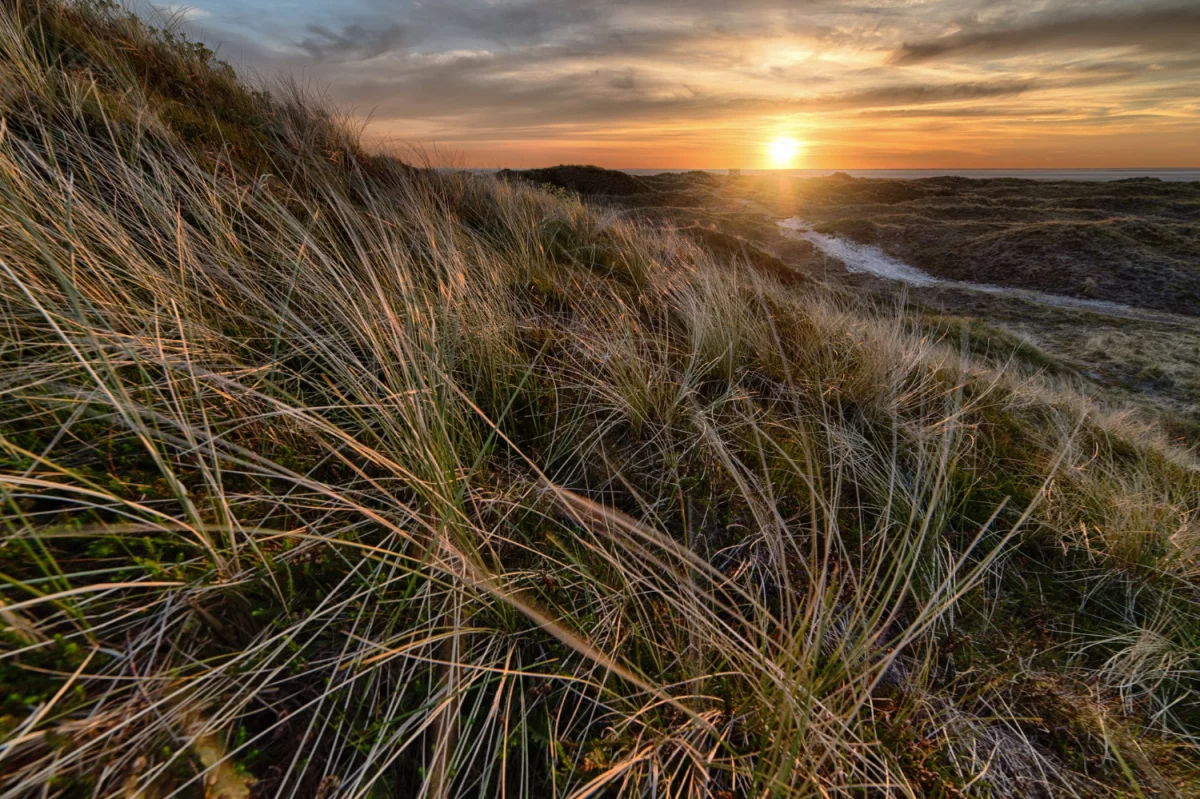 Te porady jak wyposażyć dom zaskoczą nawet profesjonalistę!